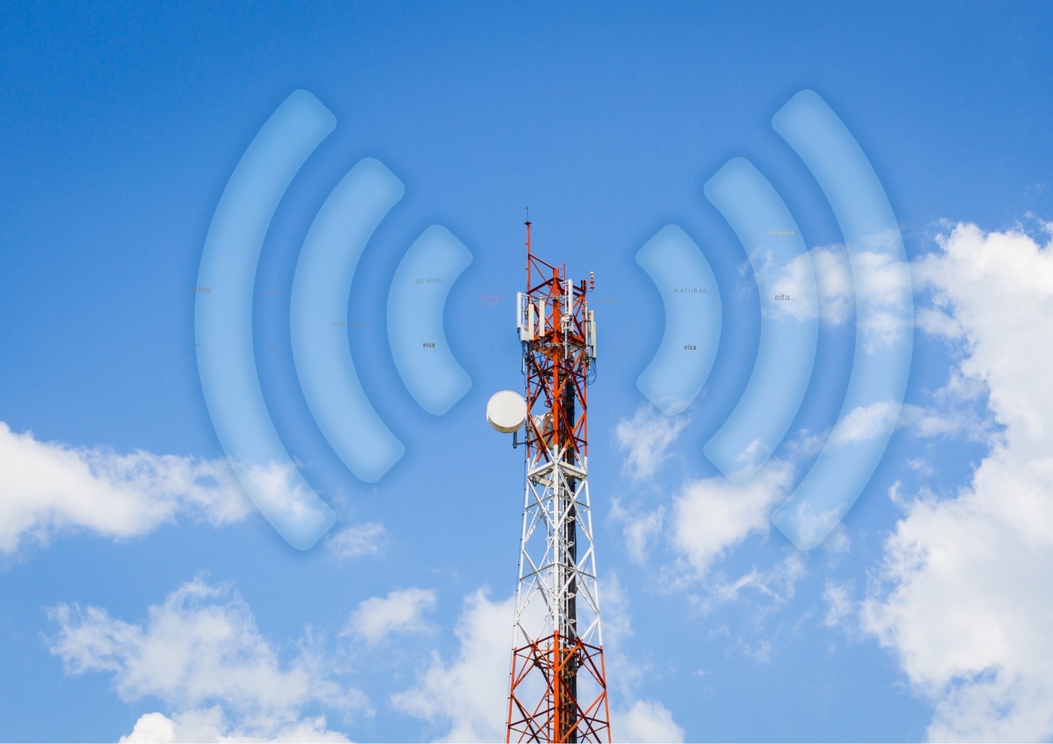 アトピーと電磁波の関係って？🤔